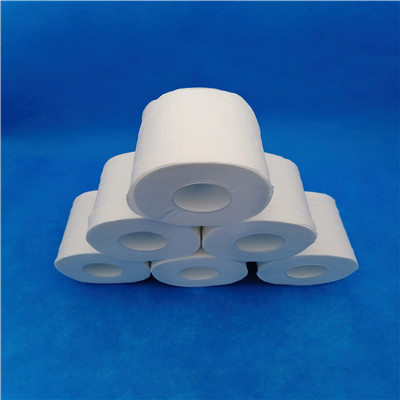 Toilet Paper Rolls With Core