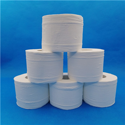 Toilet Paper Rolls With Core